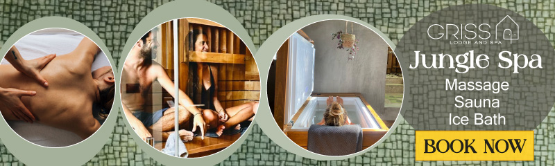Griss Lodge Spa in Santa Teresa