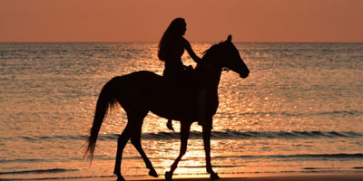 horseback riding tours in santa teresa